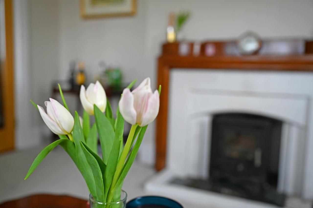 Larkhill House Otel Portrush Dış mekan fotoğraf